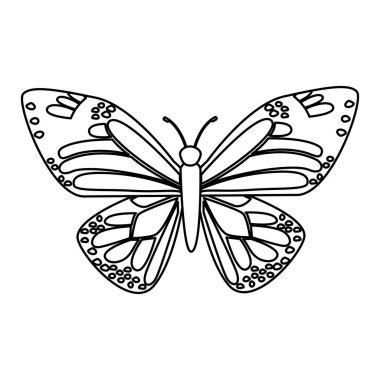 şirin kelebek izole simgesi