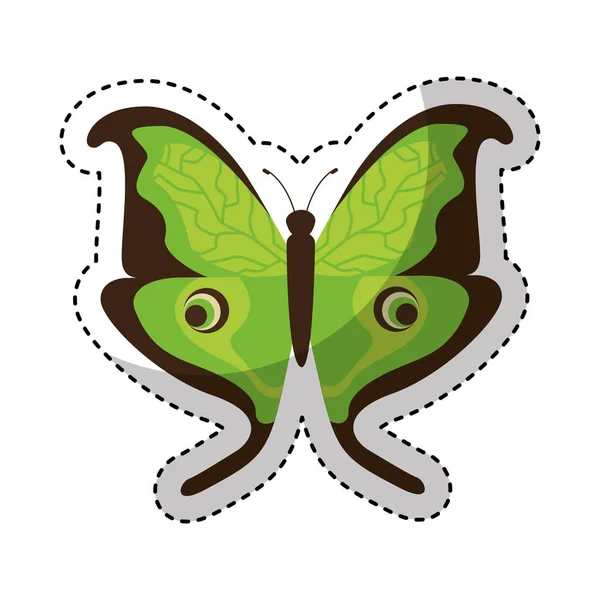 Χαριτωμένο πεταλούδα απομονωμένες εικονίδιο — Διανυσματικό Αρχείο