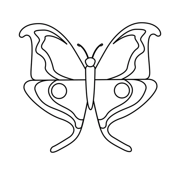Aranyos pillangó elszigetelt ikon — Stock Vector
