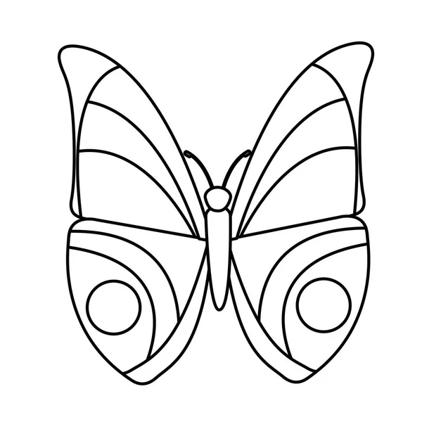 Cute butterfly isolated icon — Stock Vector