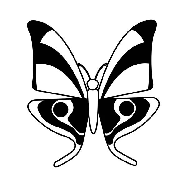 Lindo icono de mariposa aislada — Vector de stock