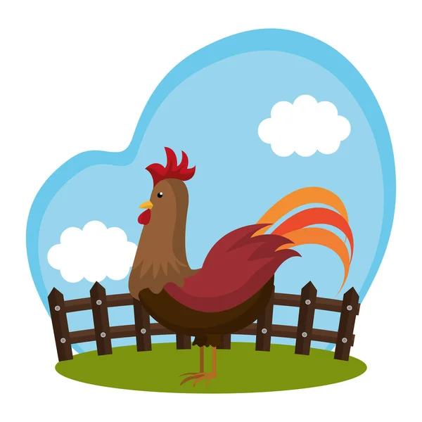 Chicken animal farm icon — Stock Vector