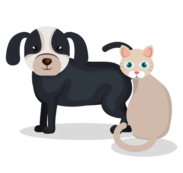 Lindo perro con gato mascota icono — Archivo Imágenes Vectoriales