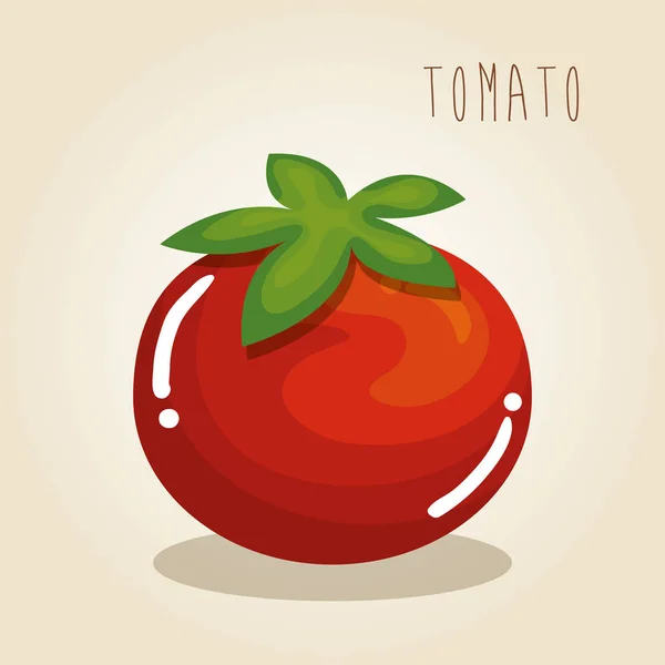 Tomato fresh vegetable icon — Stock Vector