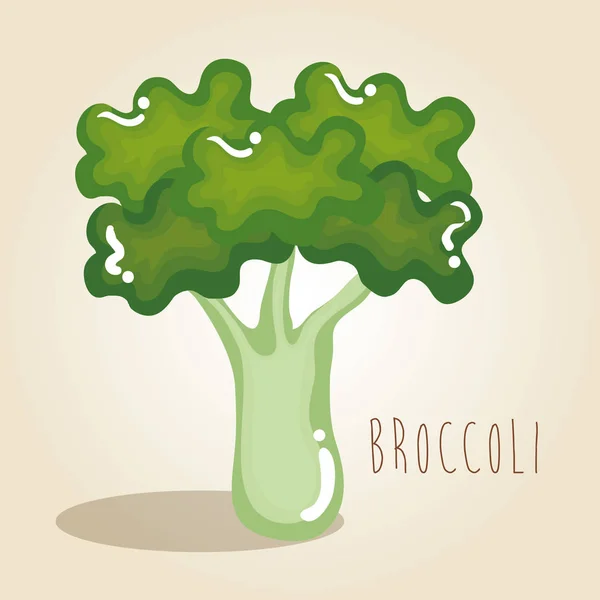 Broccoli färska grönsaker — Stock vektor