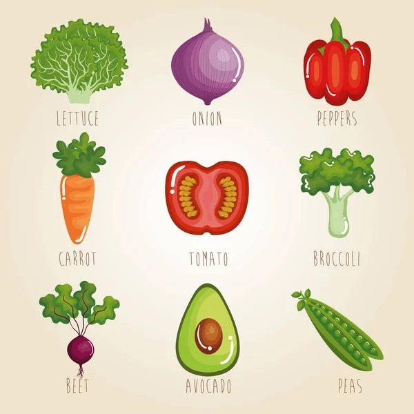 Nastavit zeleniny zdravé jídlo — Stockový vektor