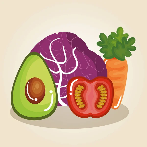 Conjunto de legumes alimentos saudáveis — Vetor de Stock