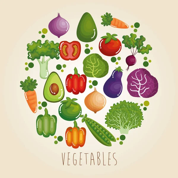 Establecer verduras alimentos saludables — Vector de stock
