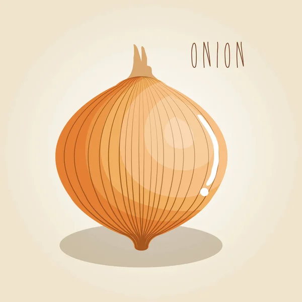 Onion fresh vegetable icon — Stock Vector