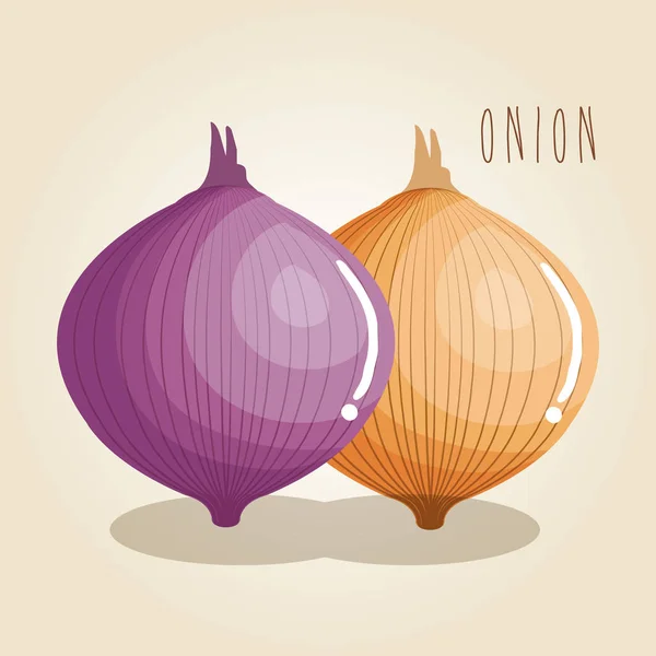 Onion fresh vegetable icon — Stock Vector