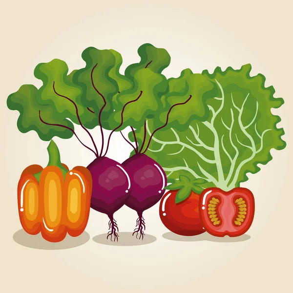Ställa in grönsaker hälsosam mat — Stock vektor