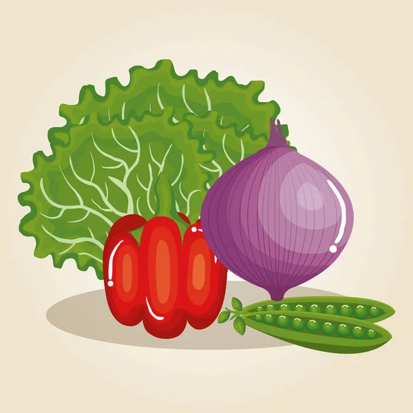 セット野菜健康食品 — ストックベクタ