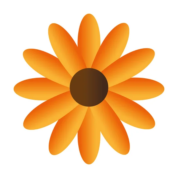 Lindo icono decorativo flor — Vector de stock