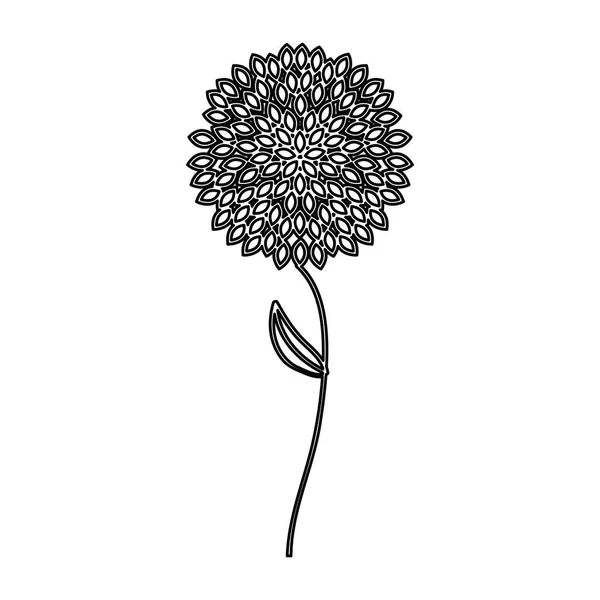 Lindo icono de flor aislada — Archivo Imágenes Vectoriales