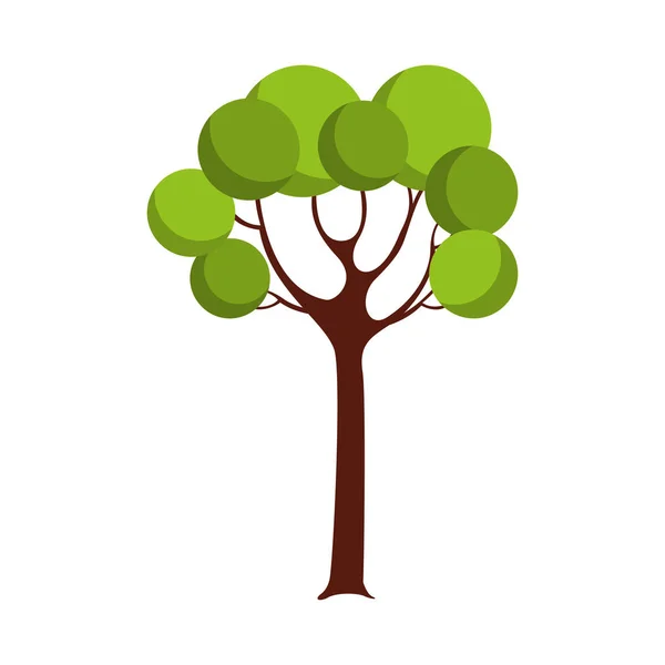 Tree plant isolated icon — Stock Vector