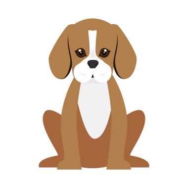sevimli köpek izole simgesi