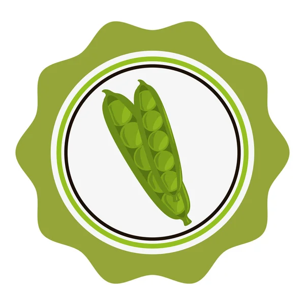 Frijoles icono fresco vegetal — Vector de stock