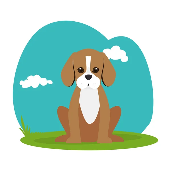 Schattige hond geïsoleerde pictogram — Stockvector