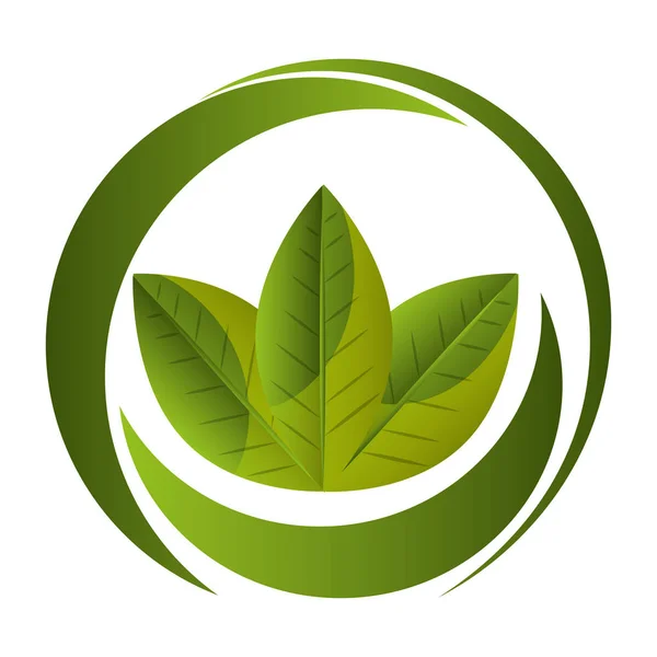 Icono de la comida saludable hojas — Vector de stock