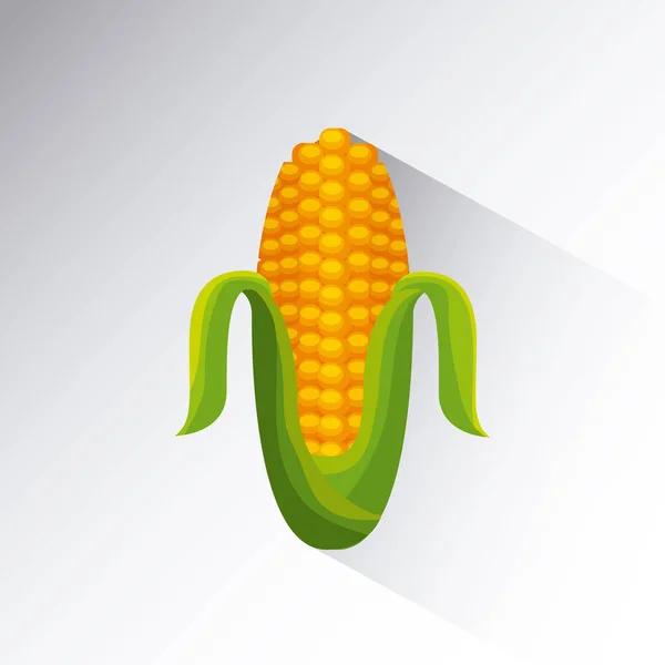 Maïs pictogramafbeelding — Stockvector