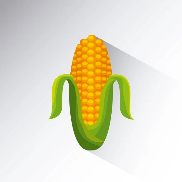 Corn icon image — Stock Vector