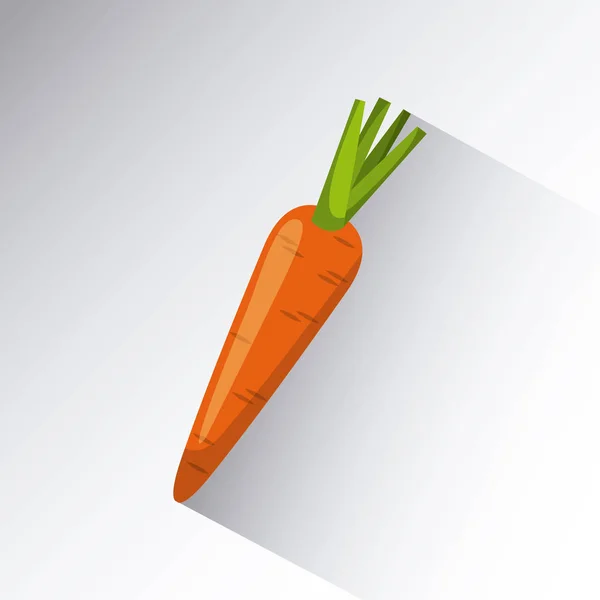 Carrot icon image — Stock Vector