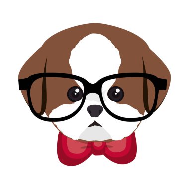 sevimli köpek hippi tarzı