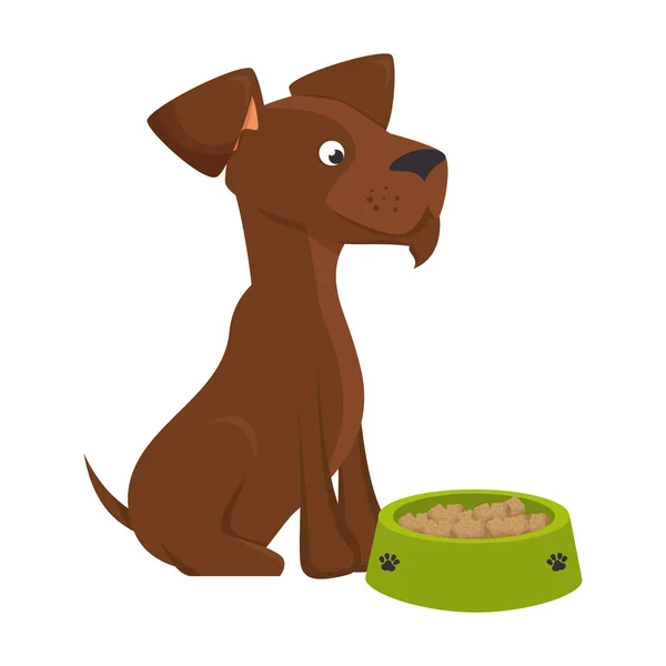 Cute dog with dish food isolated icon — Stock Vector