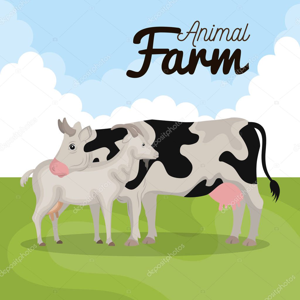 animals farm in the field