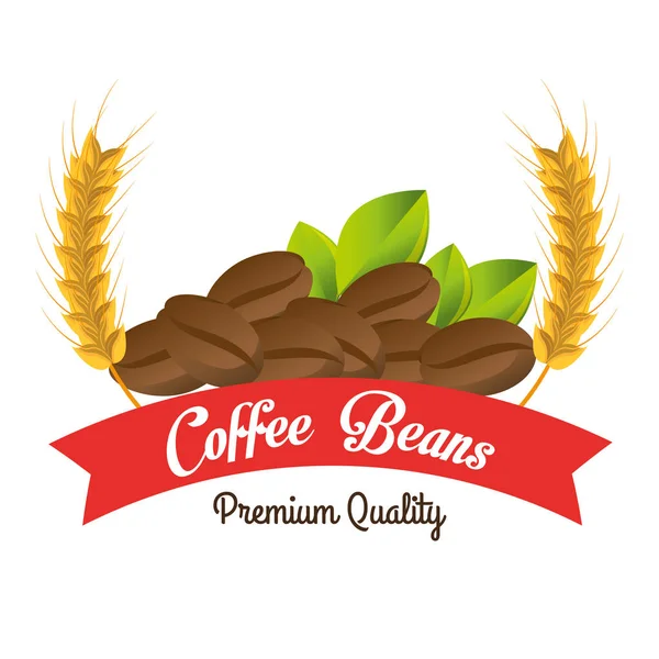 Coffee beans premium quality — Stock Vector