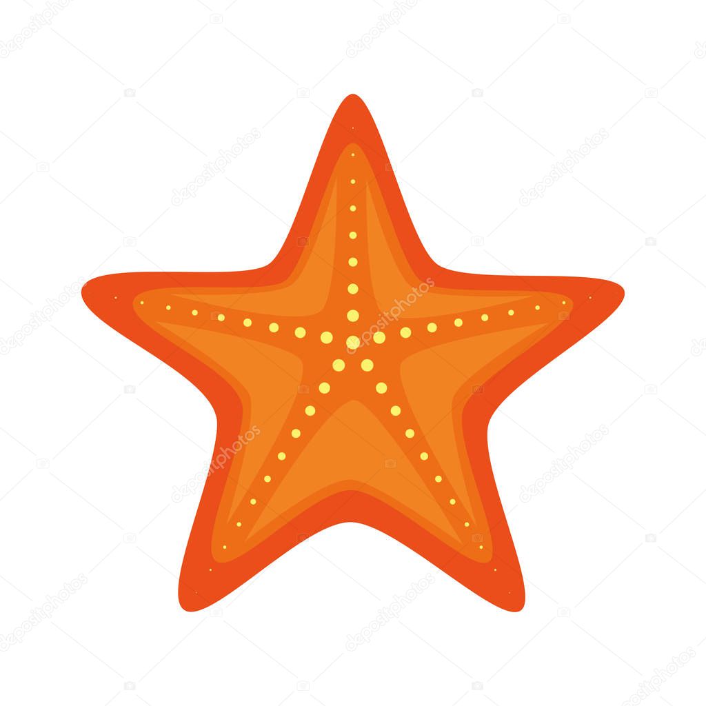 star fish isolated icon