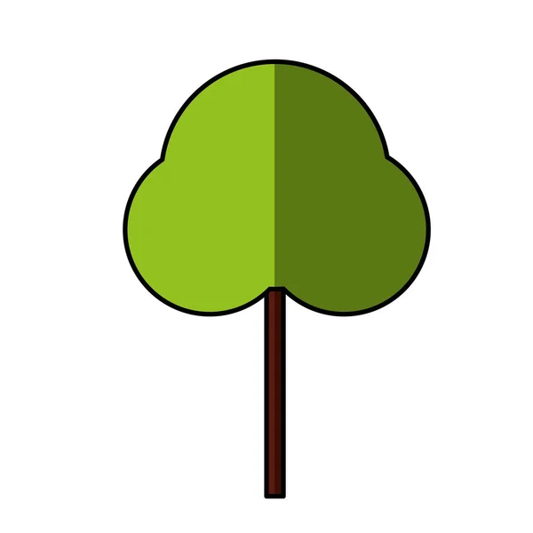 Árbol planta aislado icono — Archivo Imágenes Vectoriales