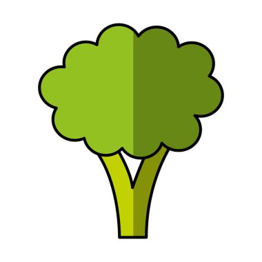 taze sebze izole simgesi