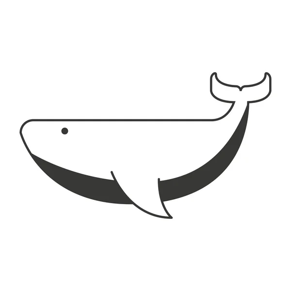Balena animale icona marittima — Vettoriale Stock