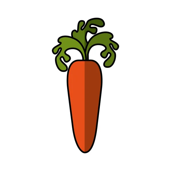 Icono de verduras frescas aisladas — Archivo Imágenes Vectoriales