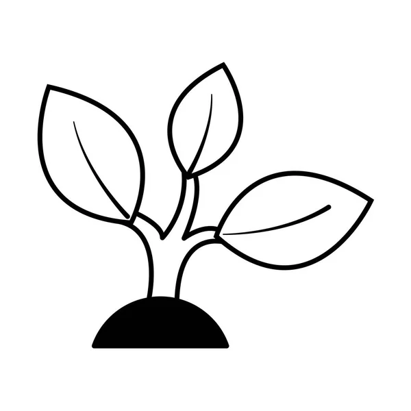 Tree plant isolated icon — Stock Vector