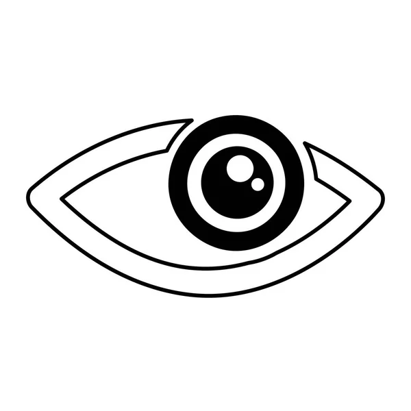 Oeil signe humain icône isolée — Image vectorielle