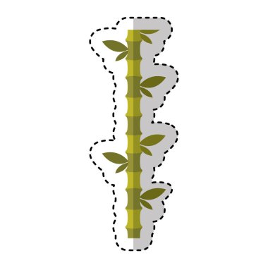 Bambu bitki izole simgesi