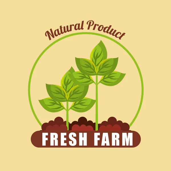 Farm fresh plant icon — Stock Vector