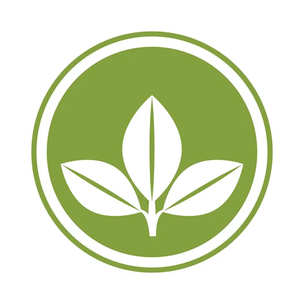 Bladeren van planten geïsoleerd pictogram — Stockvector