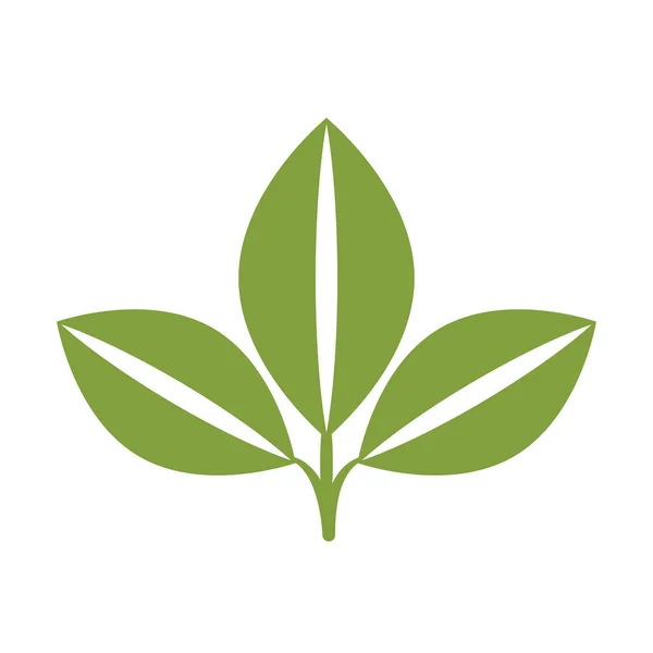 Листя рослини ізольовані значок — стоковий вектор