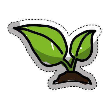 bitki izole simgesi yapraklar