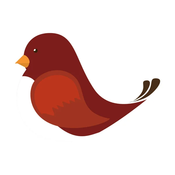 Schattige vogel geïsoleerde pictogram — Stockvector