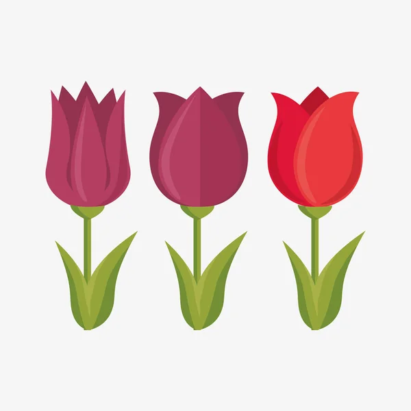 可爱的花朵花园图标 — 图库矢量图片