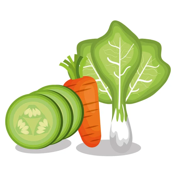 Zdravá a čerstvá zelenina — Stockový vektor