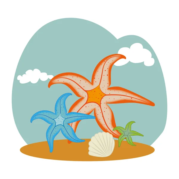 Background with Starfish and shell — Stock Vector