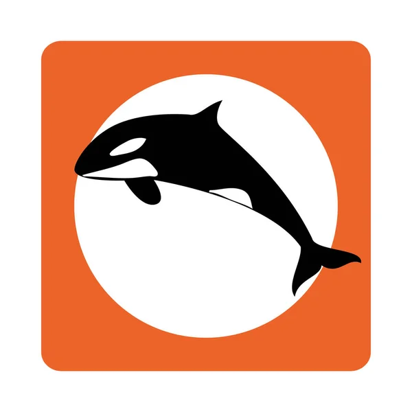 方形边框与鲸鱼水生动物 — 图库矢量图片