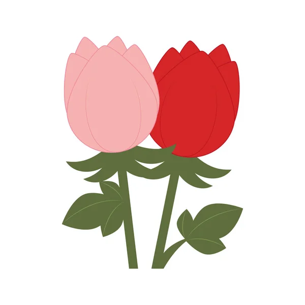 Flor tulipa colorida com galho e folhas — Vetor de Stock