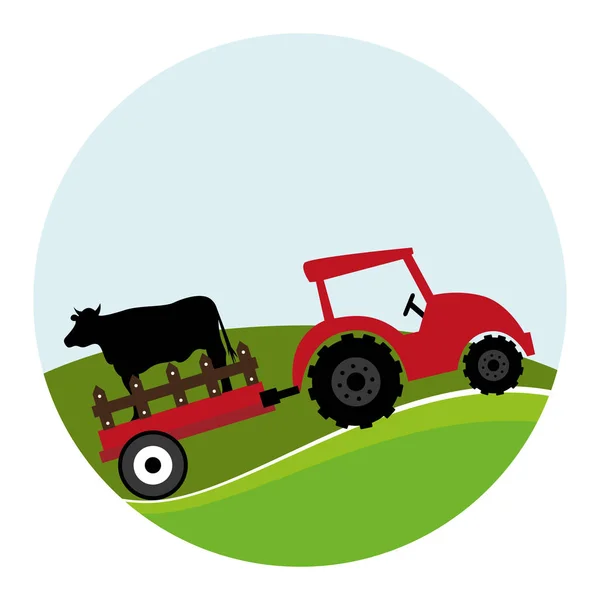 Paesaggio circolare e trattore con rimorchio con mucca — Vettoriale Stock