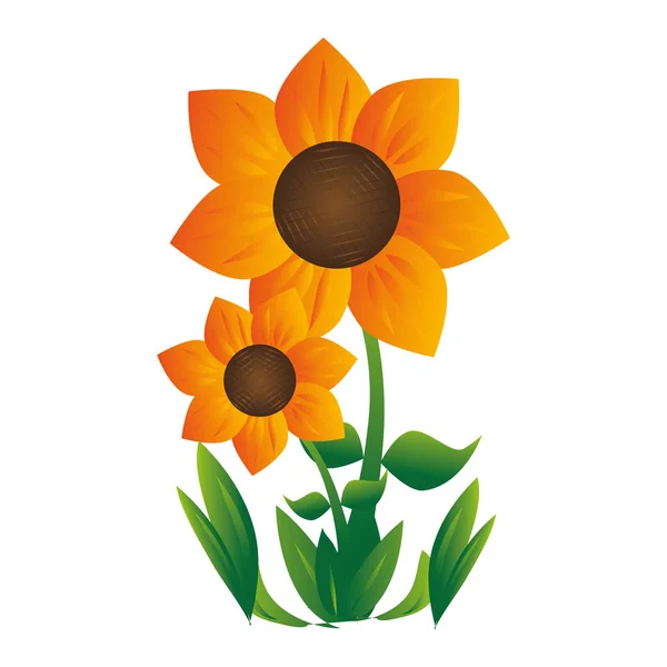 花をつける植物のカラフルなシルエット — ストックベクタ